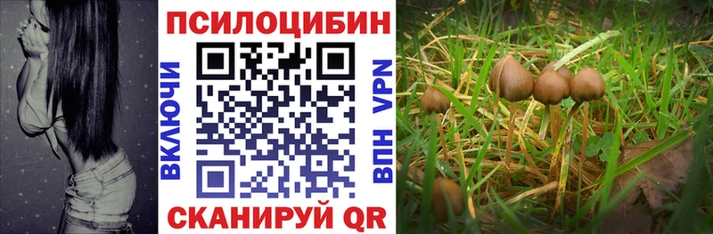 ОМГ ОМГ ССЫЛКА  Гаврилов Посад  Галлюциногенные грибы мухоморы 